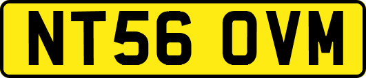 NT56OVM