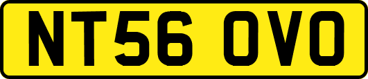 NT56OVO