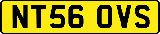 NT56OVS