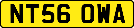 NT56OWA