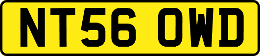 NT56OWD