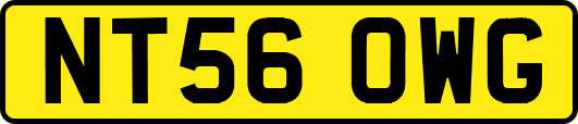 NT56OWG