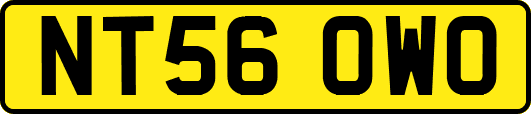 NT56OWO