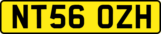 NT56OZH
