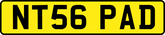 NT56PAD
