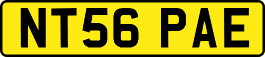 NT56PAE