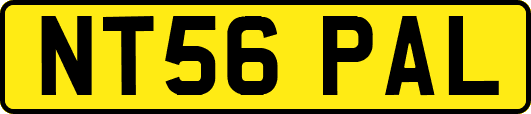 NT56PAL