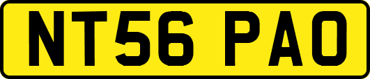 NT56PAO