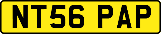 NT56PAP