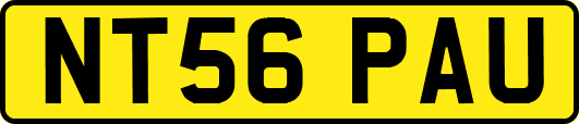 NT56PAU
