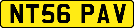 NT56PAV