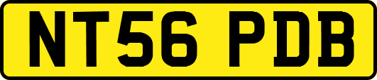 NT56PDB