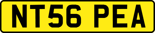 NT56PEA