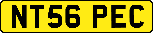 NT56PEC