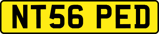 NT56PED