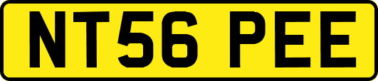 NT56PEE