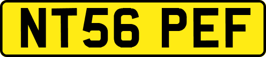 NT56PEF