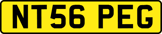 NT56PEG