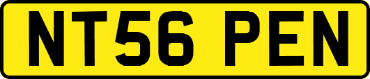 NT56PEN