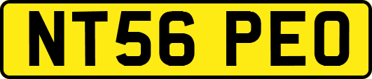 NT56PEO