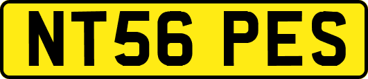 NT56PES