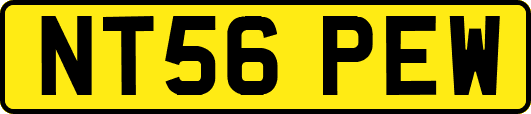 NT56PEW