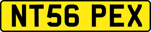 NT56PEX