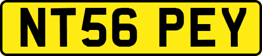 NT56PEY