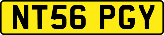 NT56PGY