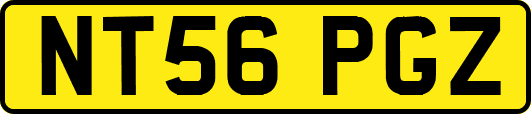 NT56PGZ