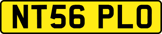 NT56PLO