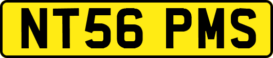 NT56PMS