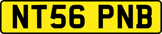 NT56PNB