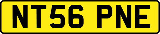 NT56PNE