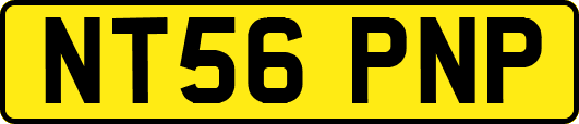 NT56PNP