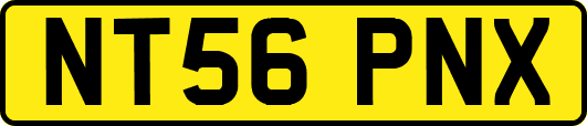 NT56PNX