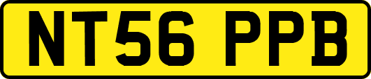 NT56PPB