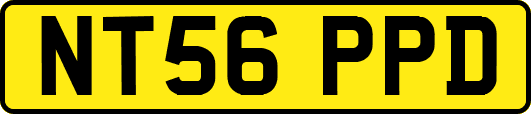 NT56PPD