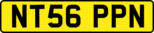 NT56PPN