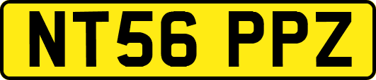 NT56PPZ