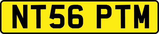 NT56PTM