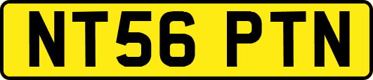 NT56PTN
