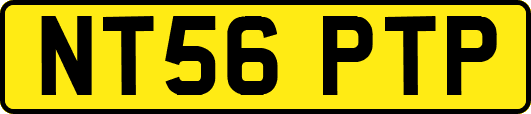 NT56PTP