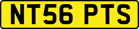 NT56PTS