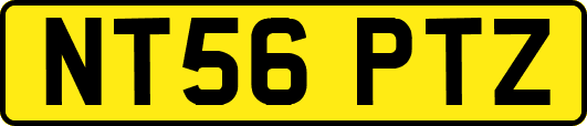 NT56PTZ
