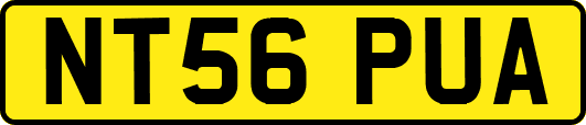 NT56PUA