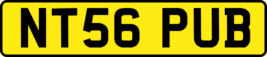 NT56PUB