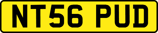 NT56PUD