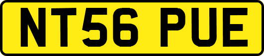 NT56PUE