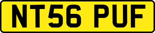 NT56PUF